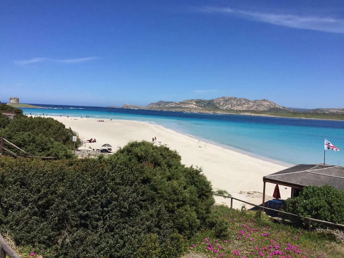Tatil Evi Splendido Appartamento Ultimo Piano Vista Mare Alghero Lido İtalya