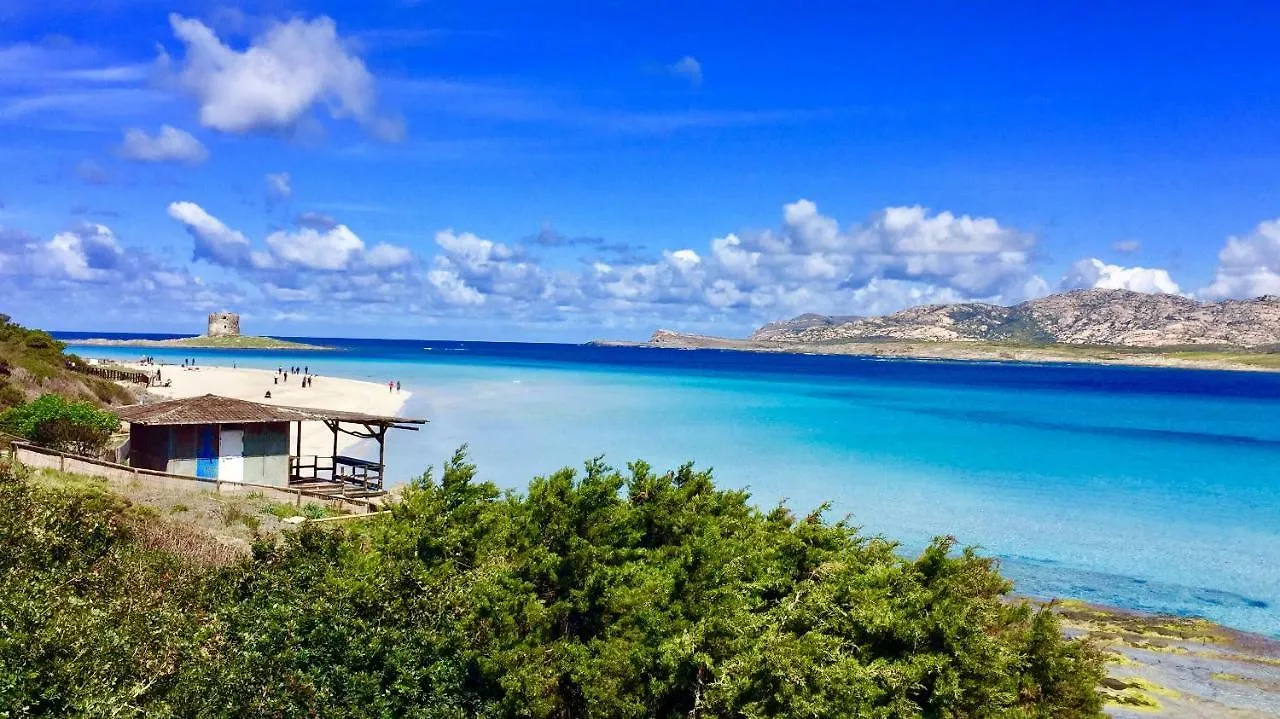 Splendido Appartamento Ultimo Piano Vista Mare Alghero Lido