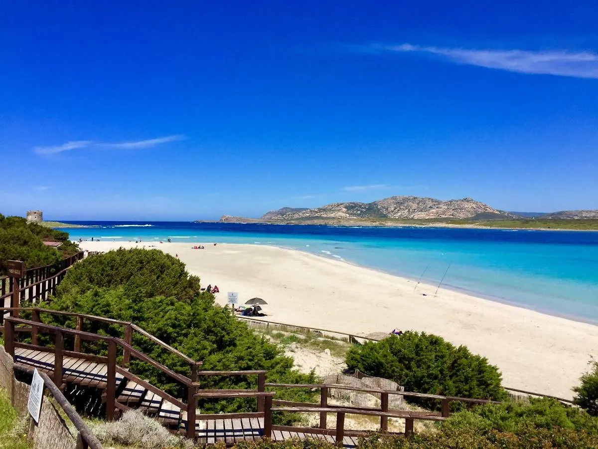 Splendido Appartamento Ultimo Piano Vista Mare Alghero Lido İtalya