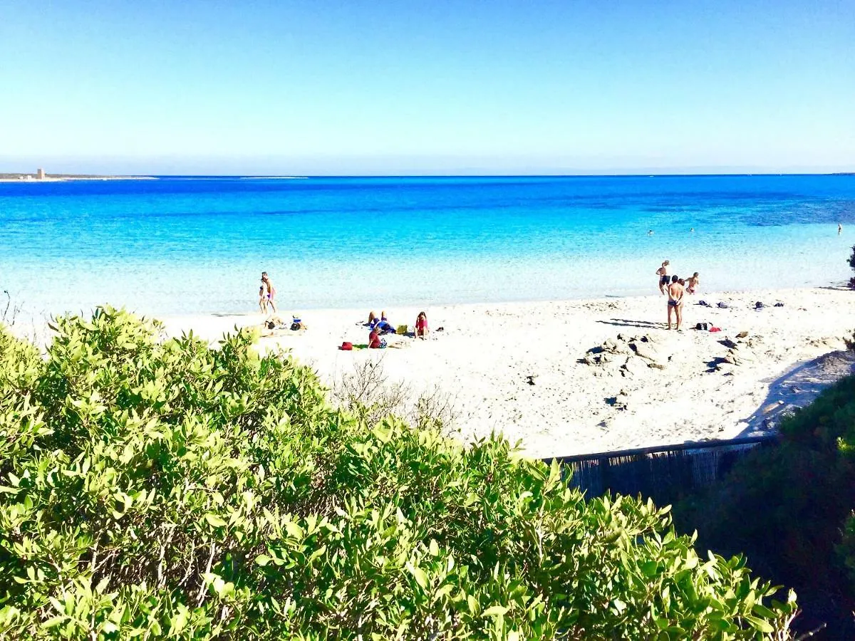 Splendido Appartamento Ultimo Piano Vista Mare Alghero Lido